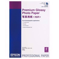 Epson Premium Glossy Photo Paper 255 g, A2 25 arkkia
